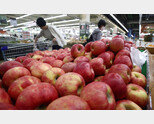 물가 올린 주범은 사과?… 소비자물가 상승률 기여도 살펴보니[세종팀의 정책워치]