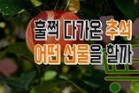 다가온 추석, 어떤 선물이 대세?