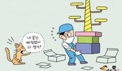 이삿날 가구는 버려도 고양이 물품은 버리지 마라