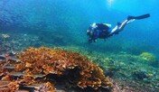 필리핀, 세계 최고 다이빙 여행지 선정