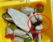 고등학교 급식 반찬서 벌레가…일주일새 두번이나 발견