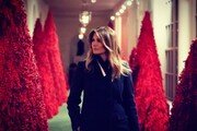 "Christmas tree on the white house" Melanie, SNS parodic pour