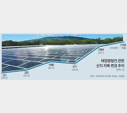 태양광 설치하면 ‘임야→잡종지’ 변경, 산림청 “땅값 크게 올라… 투기 막아야”