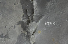 진주혁신도시서 국내 첫 백악기 원시악어 발자국 화석 발견