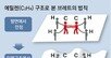 100년 된 ‘브레트의 법칙’ 깨졌다… “신약 개발 전기 마련” 평가