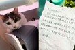수술 앞둔 주인의 마지막 배려…현금·쪽지와 남겨진 고양이
