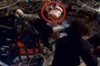 “역사상 최고의 무료 광고”…아르테미스 내부 떠다니는 누텔라 병 화제