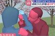 日 벚꽃 명소에서 여성 팔 깨문 노인…연행 도중 사망