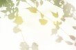 “원하는 날로 시간여행”…‘과잉기억증후군’ 앓는 17세 소녀의 특별한 능력