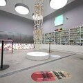 영국은 창조산업 위해 ‘YBA’를 키웠다… 허스트 전시가 던지는 질문[양정무의 미술과 경제]