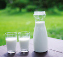 식물성 대체 음료에는 ‘우유’가 없다!