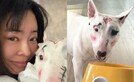 이혜영, 반려견 얼굴에 화장…동물학대 논란 확산