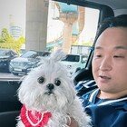 구성환, 반려견 꽃분이 비보 전해…“내 딸이자 짝꿍, 믿어지지 않아”