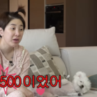 서인영, 소비 습관 바꿨다더니…2500만 원 소파→시술 고백까지