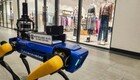 쇼핑몰 지키는 ‘로봇 개’ 등장… 시범 운영