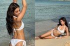 제니 작정했네, 해변 점령 비키니 컬렉션 ‘대박’