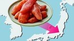 명란이 일본으로 전해진 경로[김창일의 갯마을 탐구]〈99〉