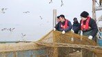 새우잡이 배에 오른 정치인… 선거 앞둔 여야 홍보전쟁 [청계천 옆 사진관]