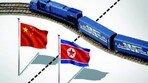 트럼프 방중 코앞에 뚫린 北-中 여객 열차길[횡설수설/윤완준]