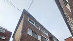 고양이 사체 옆에 뼈만 남은 딸아이…20대 친모는 뭘하고 있었나[더뎁스]