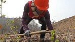 [사설]산불에 취약한 우리 숲, 수종 다양화로 저항력 키워야