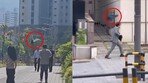 얼굴 기억하고 공격하는 까마귀…“시선 피하라” 정부도 당부