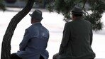 [사설]기초연금 12년 만에 ‘대수술’… 노인빈곤율 개선에 도움 되게