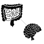 腸은 ‘제2의 뇌’… 나쁜 기억도 기억한다