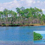 플로리다 에버글레이즈 국립공원