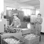 경제의 창(窓)으로 들여다본 북한 : 김정운의 ‘150일 전투’와 북한경제의 함수