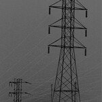 정부 실패보다 시장 실패가 더 아팠다 