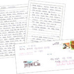 “북한 체제 미몽에 빠진 분이 나를 변호하다니…” (北 국가안전보위부 출신 여간첩 L씨)