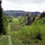 분단이 남겨준 녹색 선물