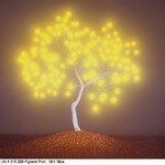 빛과 상상으로 써내려간 자연 