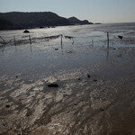 섬은 남아서 외롭게 견뎌낸다