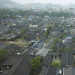 자유와 구속 두 가지 욕망의 변주