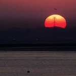 말갛게 해야 솟아라!