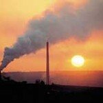 CO2 줄이려다 생태계 망칠라