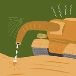 ‘토끼(?)’ 남성의 비애