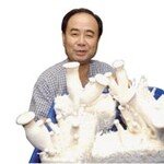 신비의 ‘아위버섯’ 대량생산 일냈다