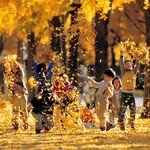 “야 신난다” 낙엽에 파묻힌 가을 동심