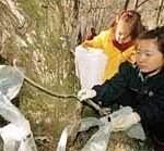 천연 미네랄 워터, 봄을 마신다 