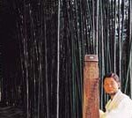 “국악도 좋지만 재즈도 참 좋아해요”