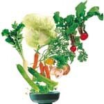 녹즙 잘못 마시면 탈난다