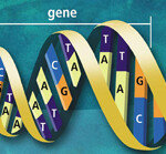 게놈 프로젝트, 축복인가 재앙인가