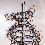 “생명과학은 이제부터 시작”