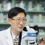 영양 만점 건강 만점 ‘청국장 열풍’ 주인공