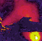 신명나는 우리가락 ‘어깨춤 절로’