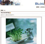 외로운 사람들이여, 블로그로 위안받으라