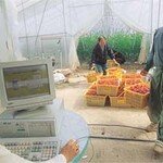 농촌 ‘정보화 모내기’ 더딘 걸음